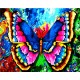 картины по номерам